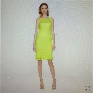 J Crew Neon Lace Sheath